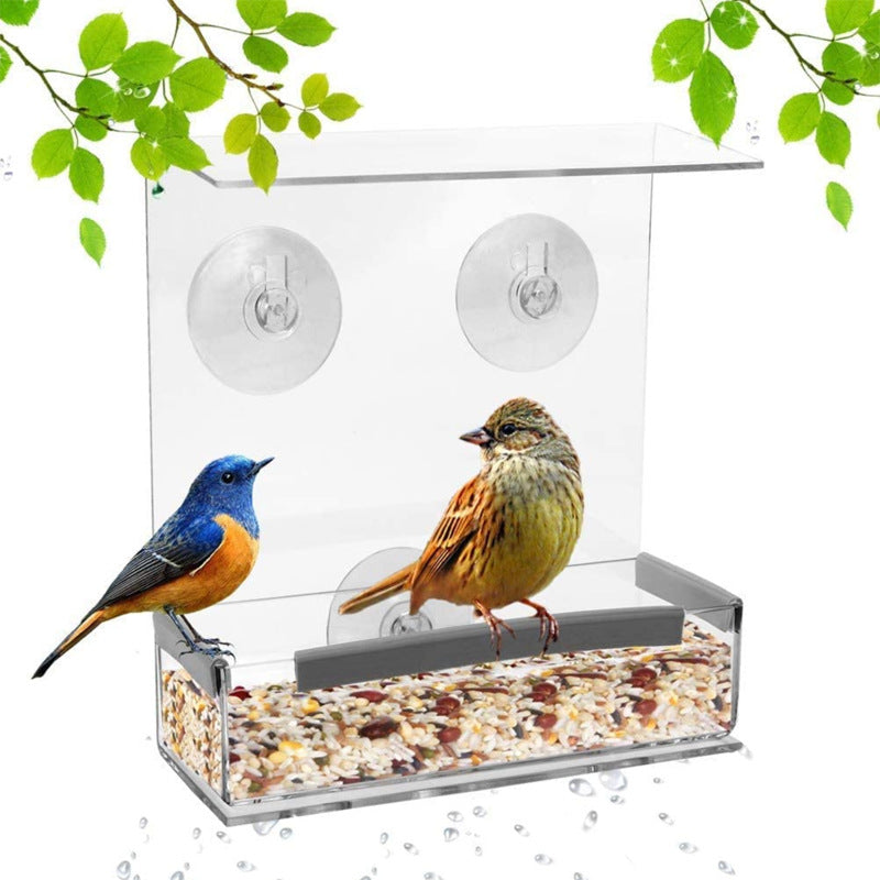 Enhance Your Outdoor Space with Our Acrylic Bird Feeder