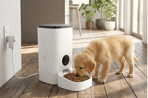 MAKING PET MEALTIMES EASIER